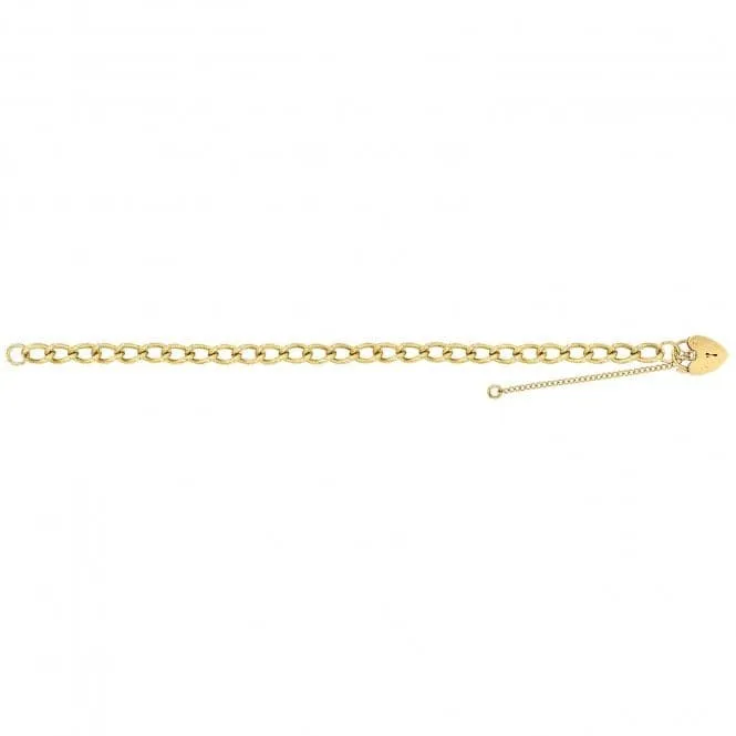 9ct Yellow Gold Ladies Charm Bracelet BR106