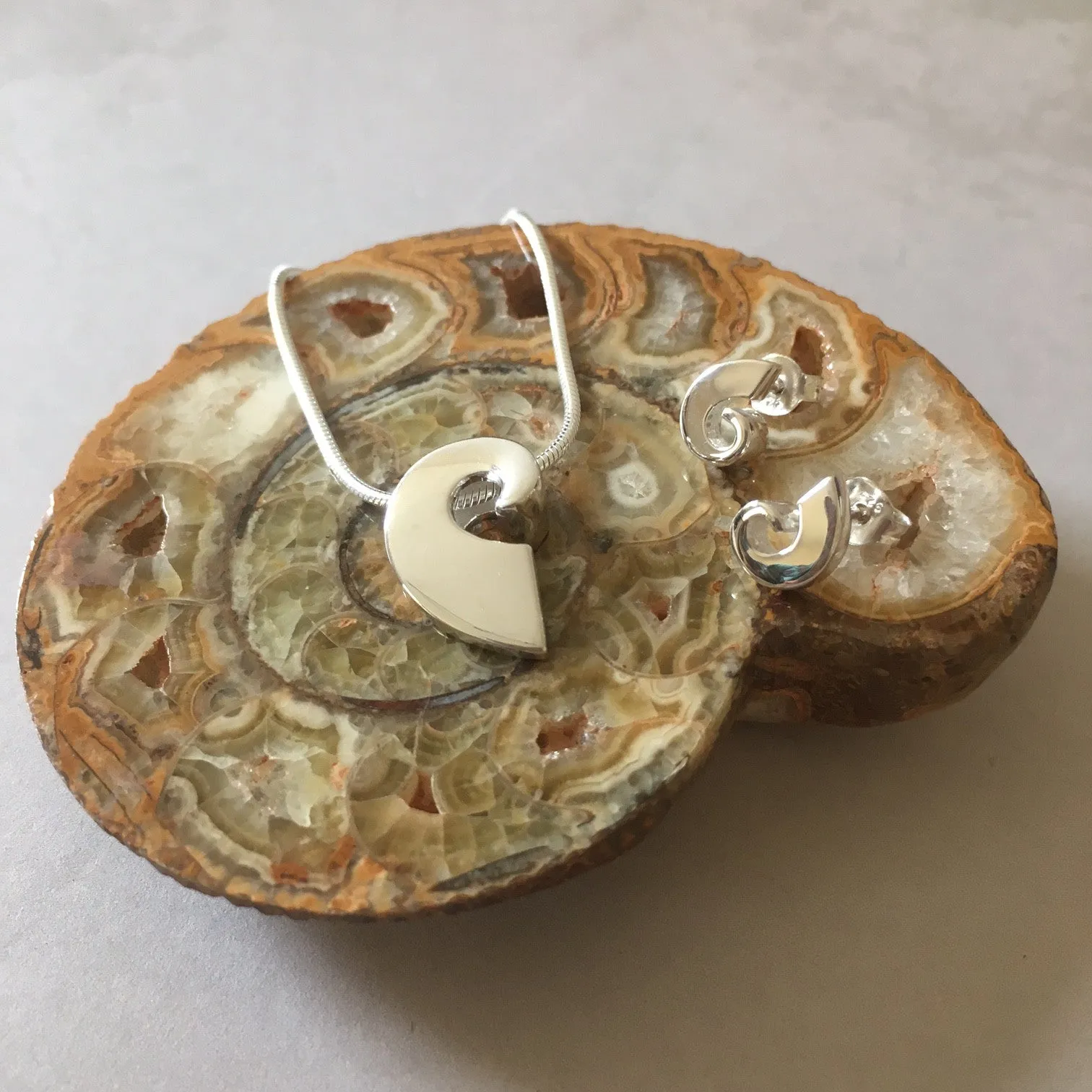 Ammonite Set - SST170