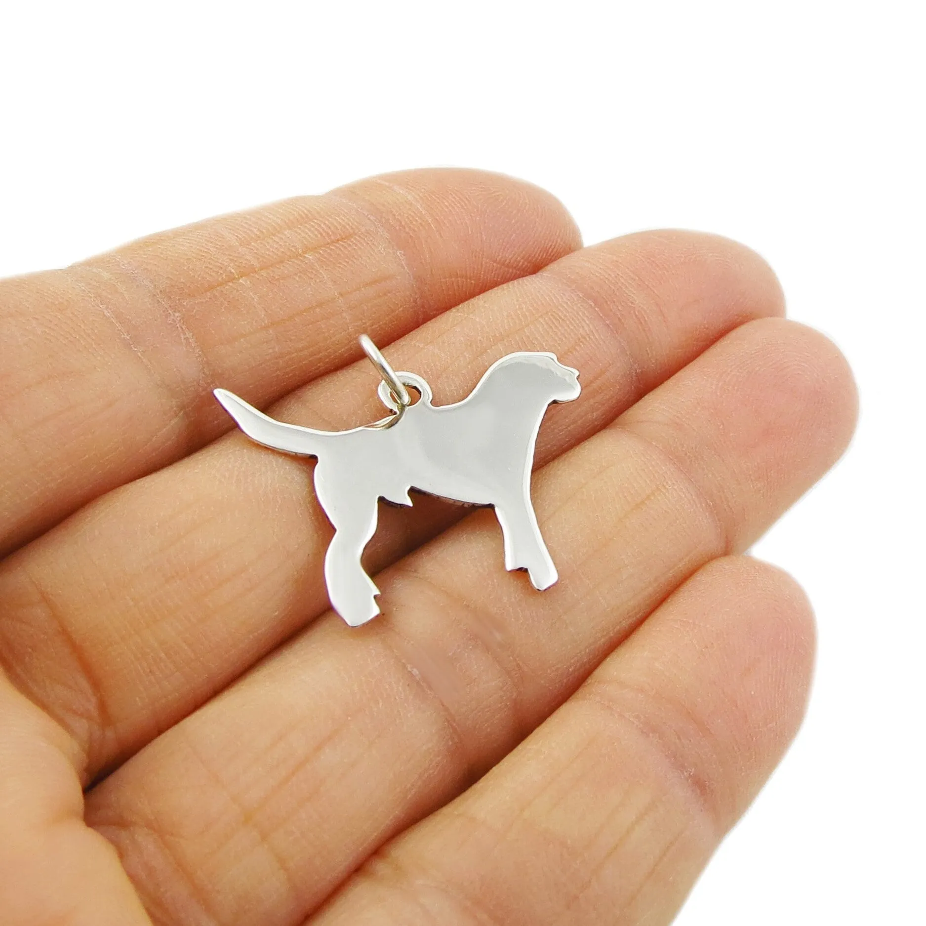 Border Terrier 925 Silver Pendant Necklace