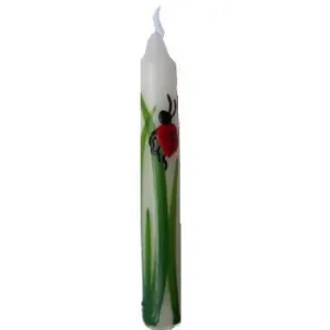 Ladybird Candles on White Background